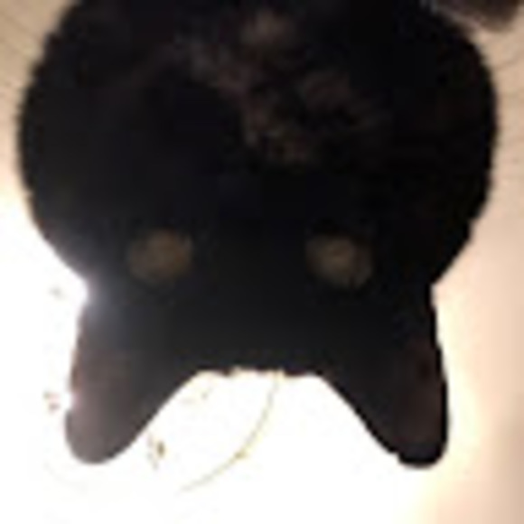 dabbeyd